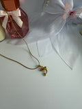 Golden Dolphin Charm Necklace